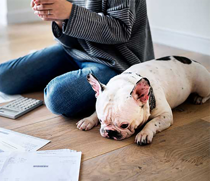 Puppy sitting next to his parent on the floor while she budgets.
