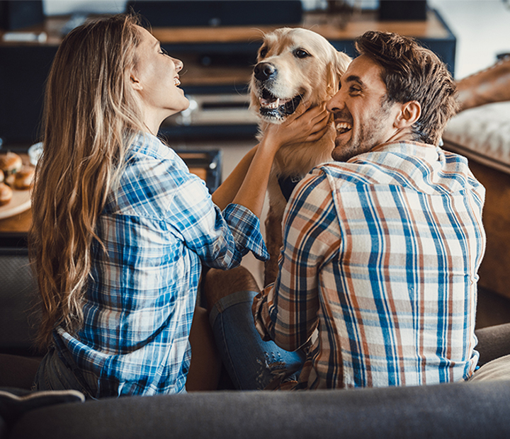 Young couple playing on the couch with their dog.