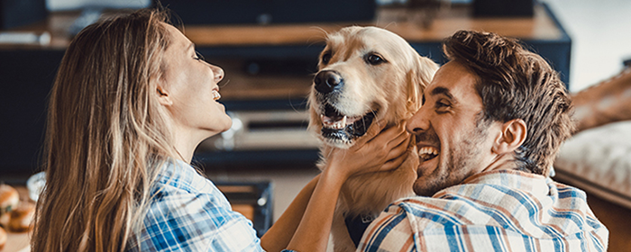 Young couple playing on the couch with their dog.