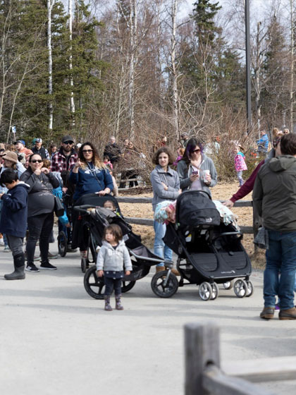 Photo: Kids Day line to get into the Alaska Zoo.